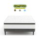 COMFYCO PT F (1)